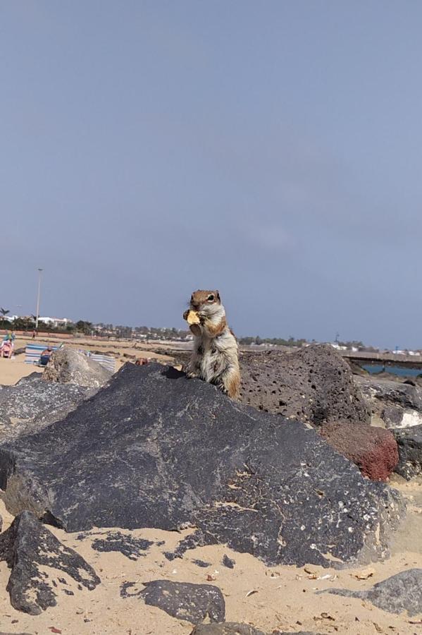 Holiday Rent Fuerteventura Costa De Antigua Eksteriør billede